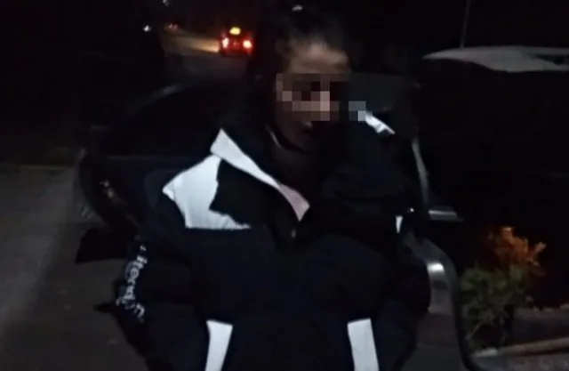 В Геническе в парке задержали девушку, которая выкапывала молодые деревья