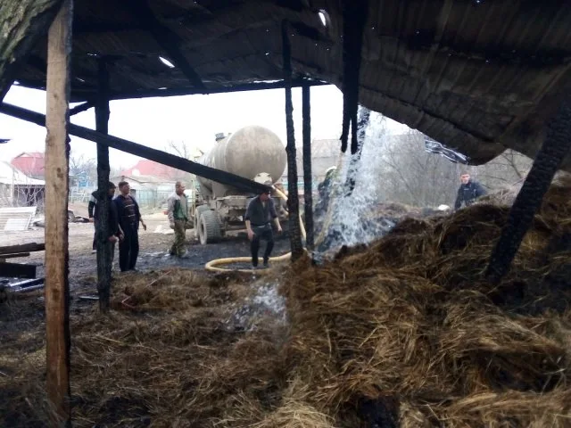 В Бериславском районе загорелись грубые корма