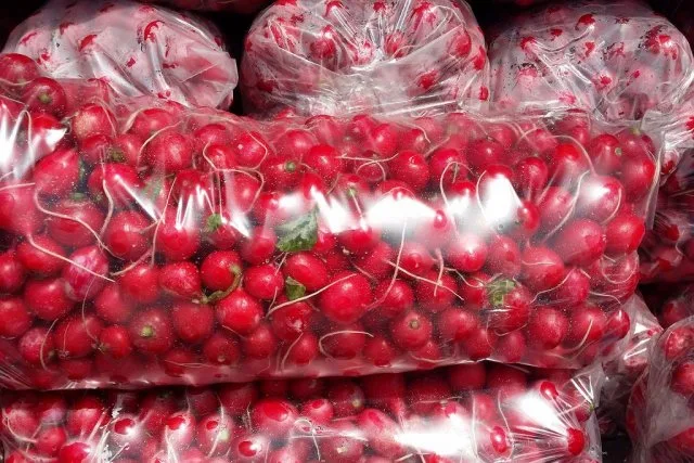 Карантин: в Херсоне нет редиски, а огородники стонут: “куда девать”