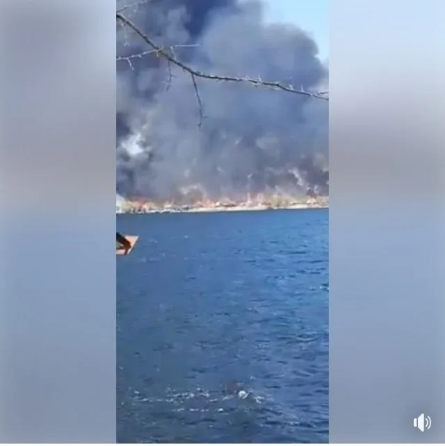 Во время пожара в плавнях дачи не пострадали, – депутат