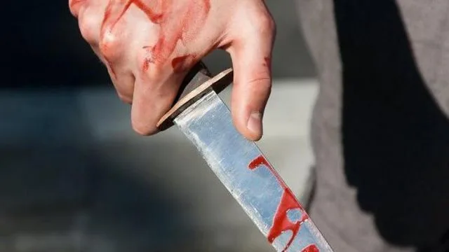 В Олешках внук зарезал родного деда