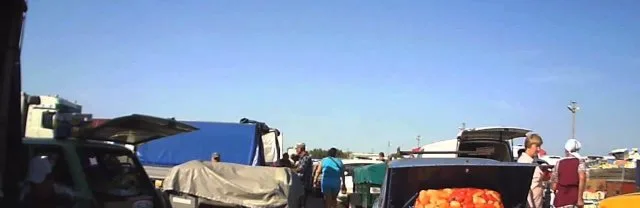 Экологи и мчс-ники позволили возобновить работу оптовому рынку в Больших Копанях