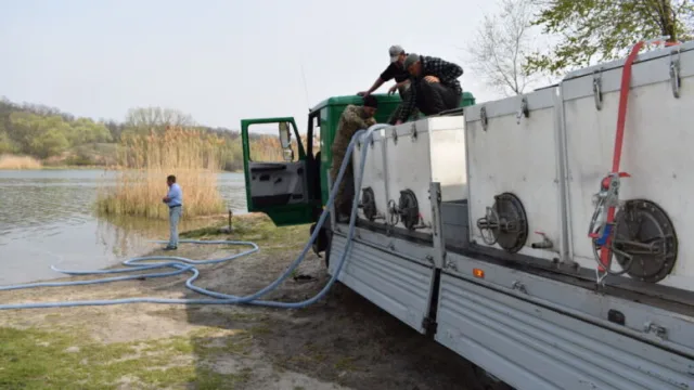 В Каховское водохранилище выпустили более полутора миллиона мальков щуки