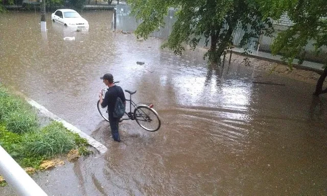 Наталья Молнар подставляет Миколаенко и “Слуг народа”