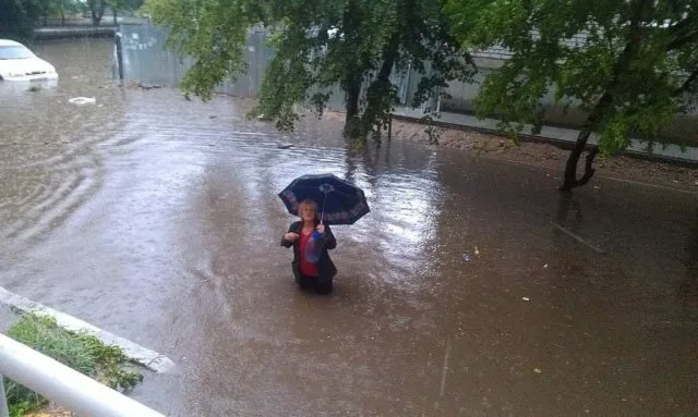Наталья Молнар подставляет Миколаенко и “Слуг народа”