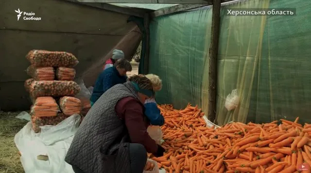 Херсонские фермеры на грани банкротства из-за коронавируса