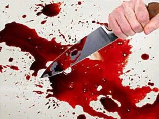 Пожизненное заключение грозит жителю Аскании-Нова за убийство односельчанина