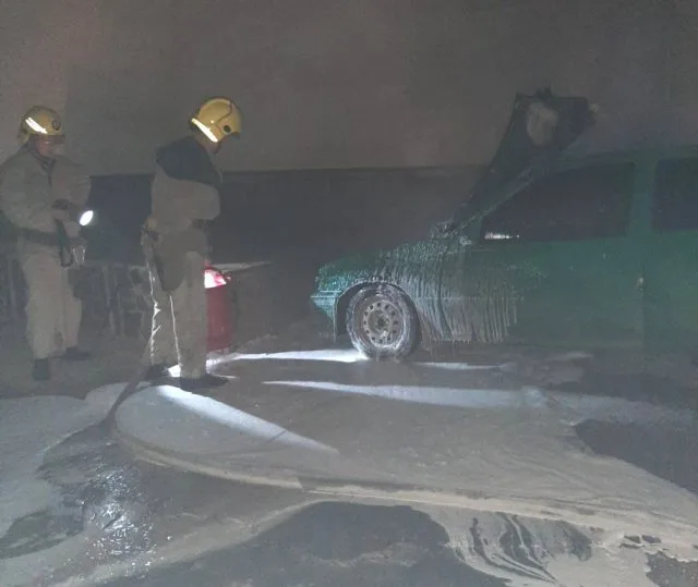 В Голой Пристани вызвали пожарных тушить старый “Opel”