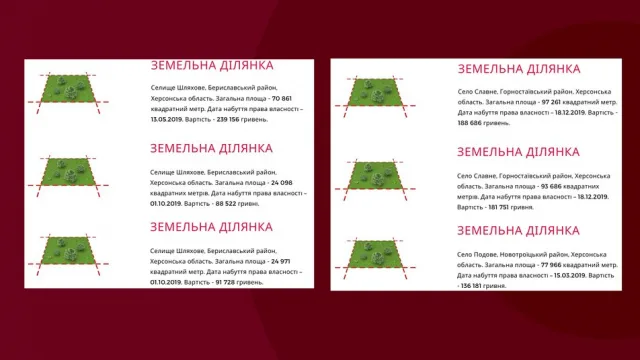 Херсонщину в парламенте представляют два миллионера: что показали декларации нардепов