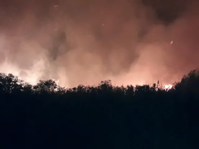 Пожар на острове Большой Потёмкинский в Херсоне ликвидирован