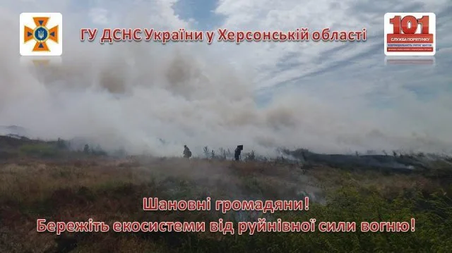 Спасатели Голопристанского района ликвидировали пожар сухостоев