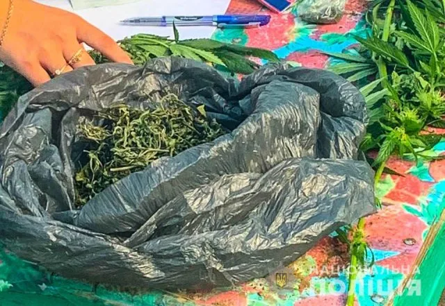 Херсонские полицейские изъяли посев конопли на сумму 300 тыс. гривен у жительницы Генического района