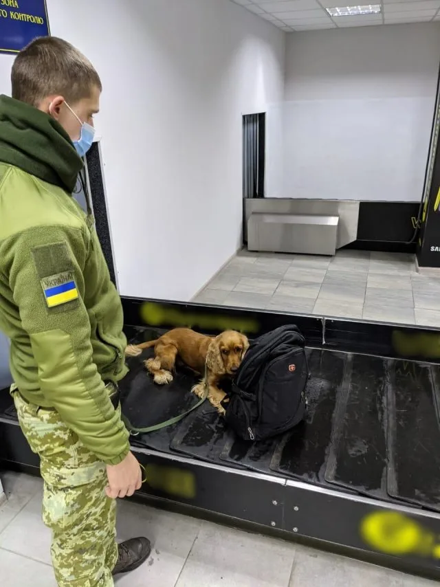 В аэропорту «Херсон» служебный пес пограничников помог выявить пистолет у иностранца
