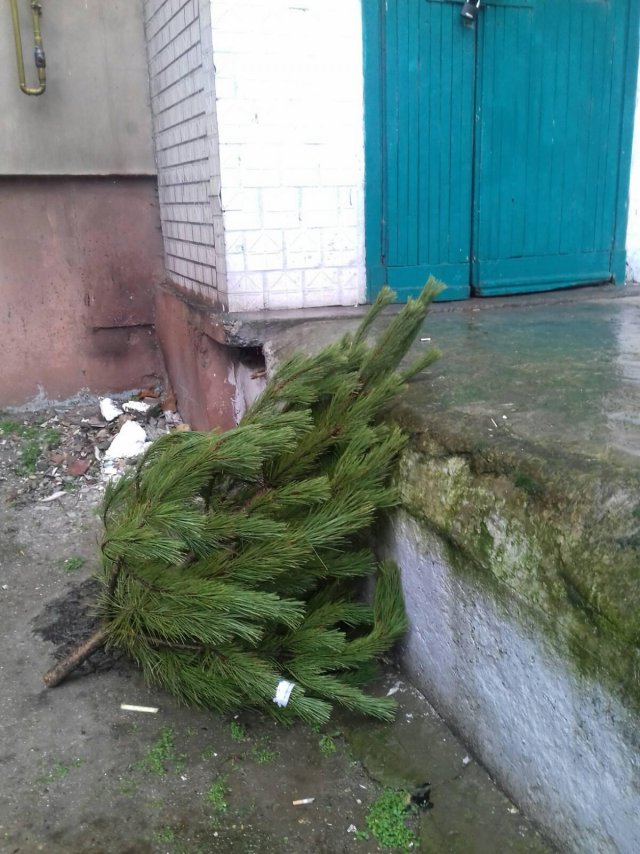 Жители Херсона начали выбрасывать елки не дожидаясь Рождества