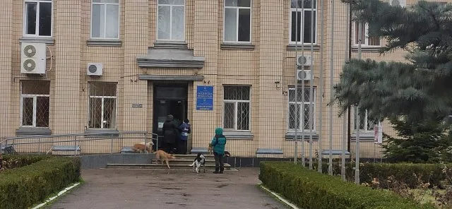 На Херсонщине людей кусают бездомные собаки