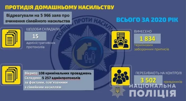 За домашнее насилие над матерью житель Голой Пристани отправился за решетку