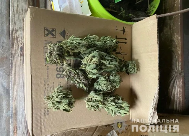 У жителя Большой Кардашинки полицейские изъяли 1,5 килограмма марихуаны