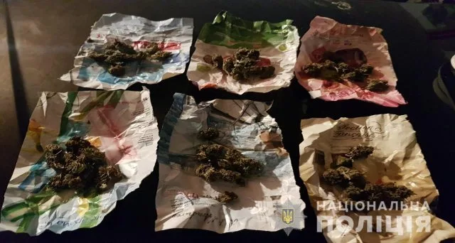 Полицейские изъяли у двух жителей Херсонщины запрещены наркосодержащие растения