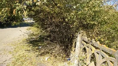 В селе Костырка на Херсонщине сельчане потеряли урожай овощей из-за обработки полей с самолета