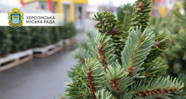 В мэрии Херсона сообщили, где в городе с 15 декабря будут продавать новогодние елки