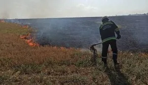 Унаслідок обстрілів 3-5 липня знищено 150 га врожаю на Херсонщині, – Братчук