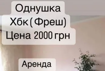 У Херсоні ціни на оренду житла ще ніколи не були настільки низькими