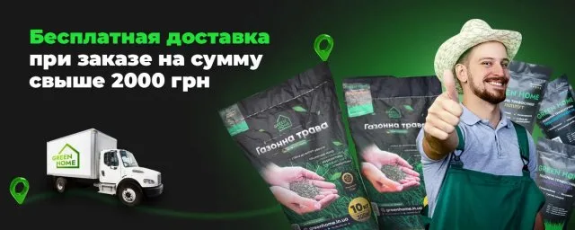 Как посадить газон своими руками: особенности выбора и ухода