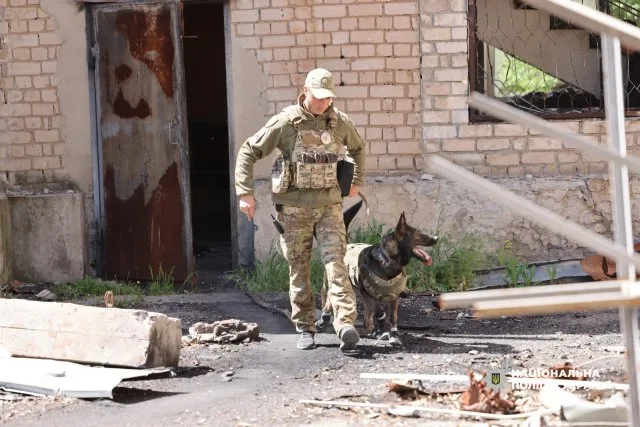 Після удару ворожого дрона – знову в строю: про небезпечну службу на Херсонщині поліцейського-кінолога Олега Пєчкова та його чотирилапих напарників