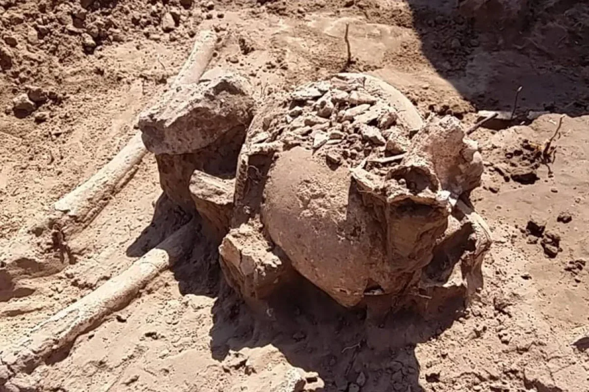 На Кам’янській Січі під час розкопок археологи знайшли два давні поховання (відео)